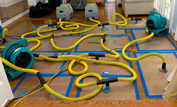 Professional Sewage Cleanup technician working in Millsap, TX